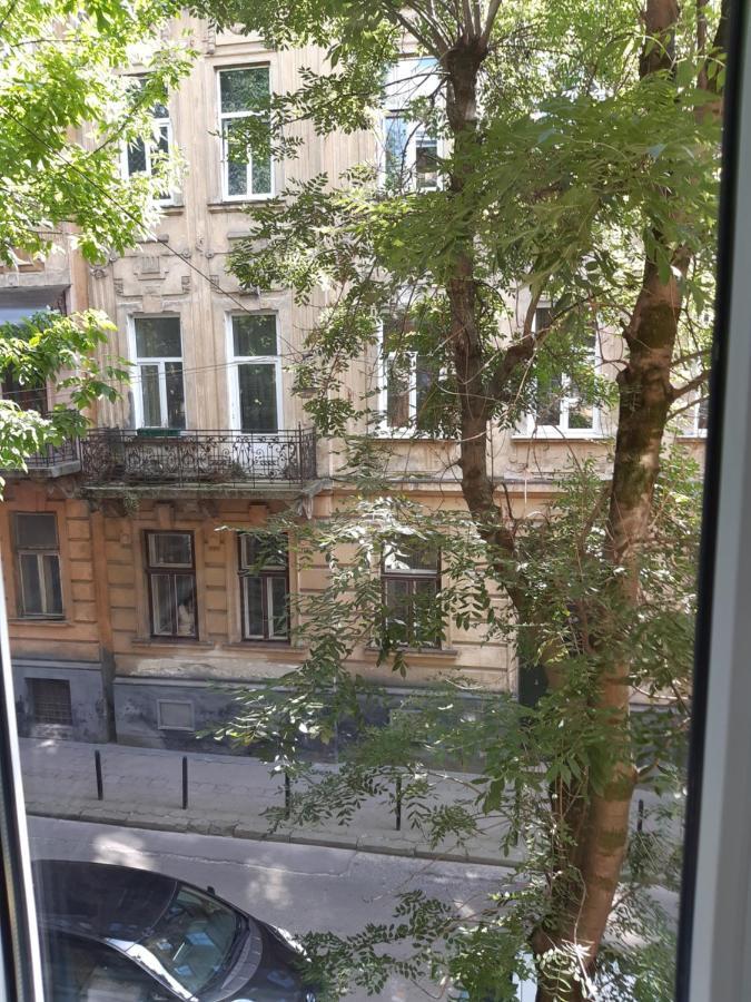 Cosy flat Apartamento Lviv Exterior foto
